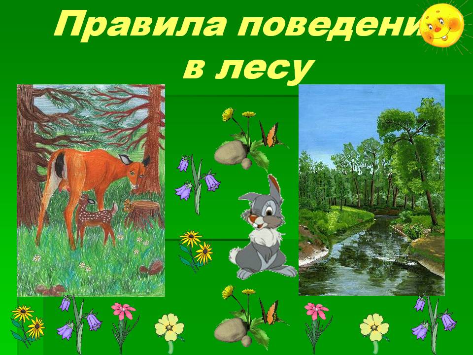 Презентация на тему правила поведения в лесу